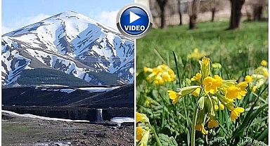 Erzurum'un bir yanı kar bir yanı bahar