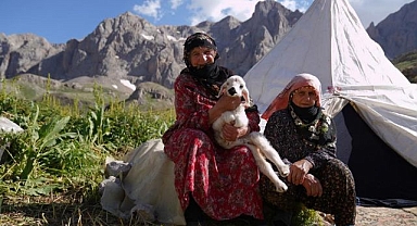 Havalar ısındı, meralar şenlendi