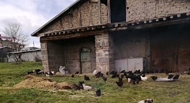 Hırsızlar hem çaldı, hem telef ettiler!