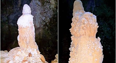 İnsan figürünü andıran görüntüleriyle hayranlık oluşturuyorlar