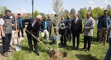 İtalya'dan geldiler Türkiye'de ağaç diktiler
