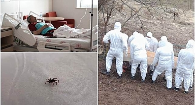 Kabus hortladı, vakalar artıyor!