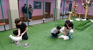 Kedi Villası bayramda ziyaretçilerle doldu taştı