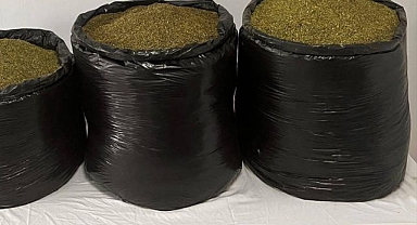 Kilolarca esrar ele geçirildi