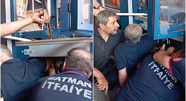 Kolu paketleme makinesine sıkıştı