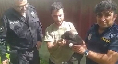 Kuyuya düşen yavru köpeğin imdadına koştular