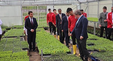 Okul bahçesinde organik sebze üretimi