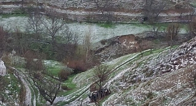 Otomobil şarampole yuvarlandı