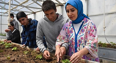 Özel öğrenciler serada sebze yetiştirdi