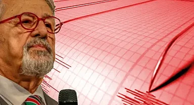 Prof. Naci Görür Yedisu Fayı'na dikkat çekti