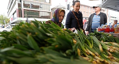 Şifa deposu çiriş tezgahlarda yerini aldı
