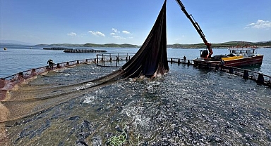 Su ürünleri ihracatında hedef 2 milyar dolar