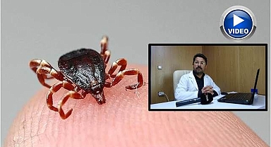 Uzmanlardan 'kene' uyarısı