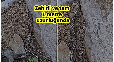 Vatandaşın dikkatinden kaçmadı