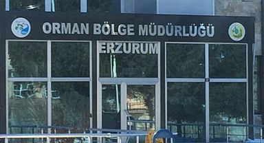 ERZURUM ORMAN FİDANLIK MÜDÜRLÜĞÜ YAPIM İŞİ İLANI