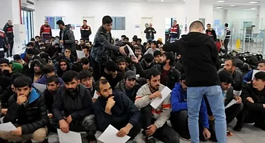 210 düzensiz göçmen yakalandı