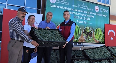228 üreticiye 84 bin domates fidesi dağıtıldı