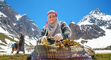 3 bin 400 rakımlı yaylada ot mesaisi