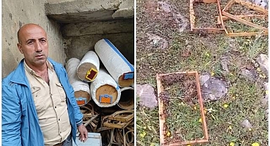 Aç kalınca kovanlara saldırdılar