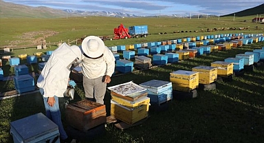 Arıcıların bal mesaisi başladı
