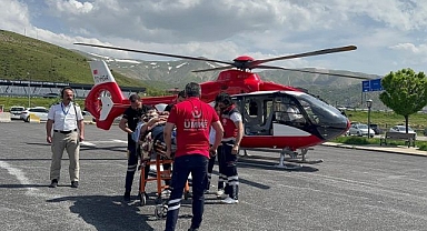 Arıların soktuğu hasta için havalandılar
