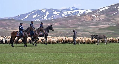 Atlı jandarma timi sınırda devriyede