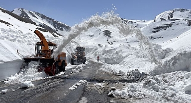Bir taraf bahar, diğer taraf kar!