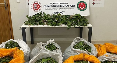 Biyoçeşitliliğe tahribe ceza yağdı