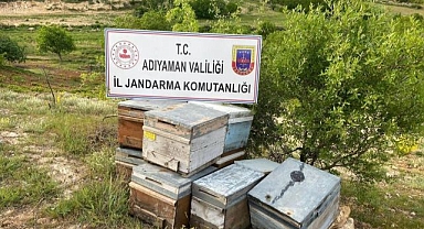 Çalınan kovanları jandarma buldu