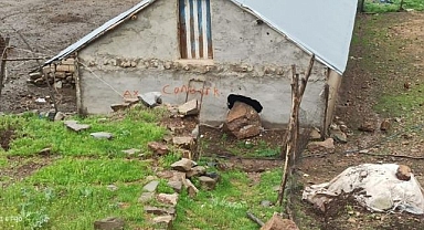 Dağdan kopan kayalar dehşet saçtı