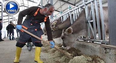 İlk adım atıldı... Hayvansal ürünler elde edilecek
