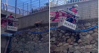 İstinat duvarında mahsur kaldı