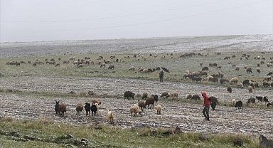 Kar besicileri hazırlıksız yakaladı