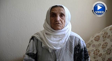 Köpekler kabusu oldu!