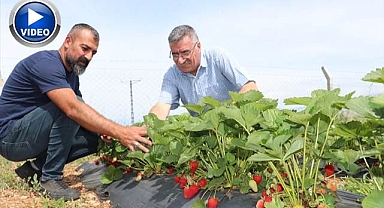 Köyüne döndü, kendisini toprağa adadı