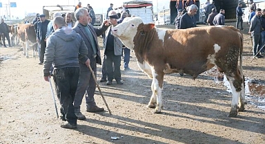 Kurbanlık sevkiyatına sıkı denetim