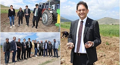 Mor Patates toprakla buluştu