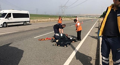 Otomobilin çarptığı çobandan acı haber