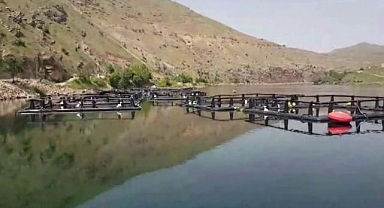 Piyasada ölü balık tedirginliği