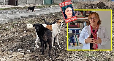 Sabuncuoğlu nihayet sesini duyurdu!