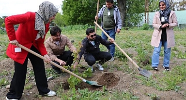 Sağlıkta farkındalık için fidan diktiler