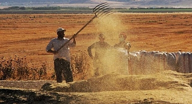 TÜİK açıkladı: Yüzde 60,77 artış var...