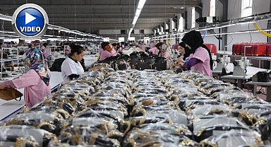 Türkiye’nin en büyüğü! 26 ülkeye ihraç ediliyor