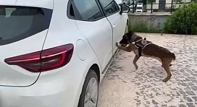 Uyuşturucuyu öyle bir yere sakladılar ki...