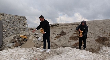 Yabani hayvanları unutmadılar