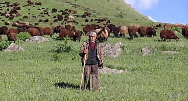 Yaylalar göçerleri ağırlamaya başladı