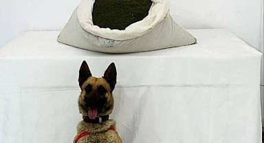 3 günde tam 42 kilo ele geçirildi