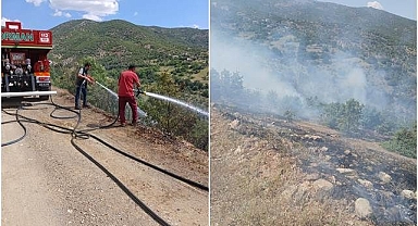 Ağaçlık alanda çıkan yangın korkuttu
