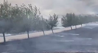 Anız yangını yürekleri ağza getirdi