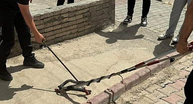 Asansöre girmeye çalışırken yakalandı